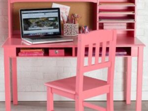 Tyler Pink Study desk